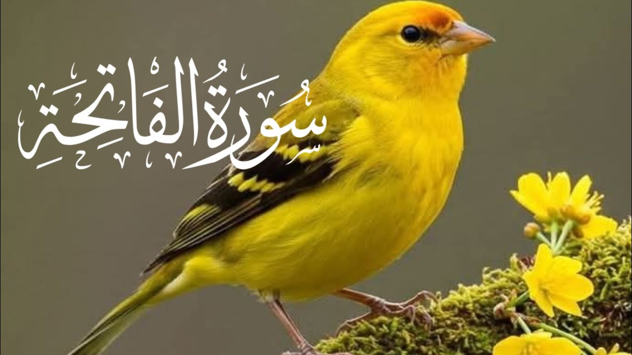 Understanding Surah Al-Fatiha: The Heart of the Quran" |ai Islamic channel l 2025 