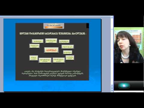 ქეთევან კუპატაძე