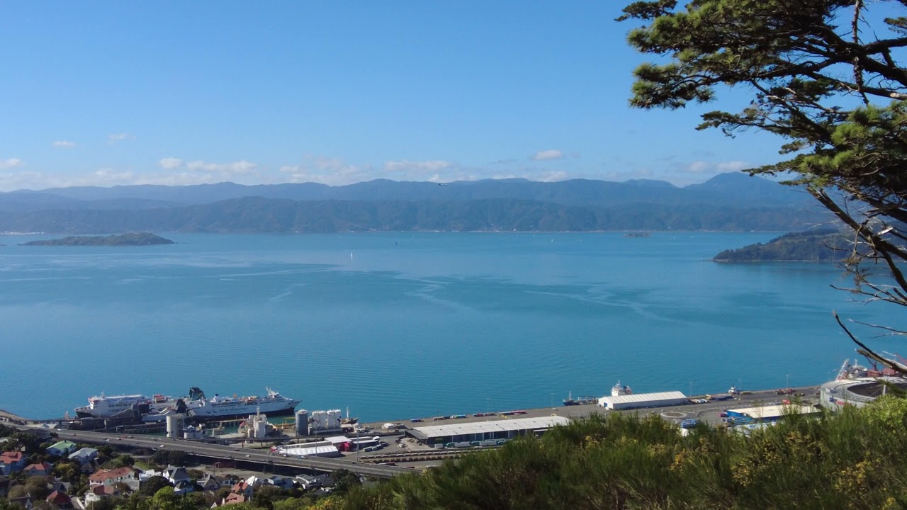 Views of Wellington Harbour