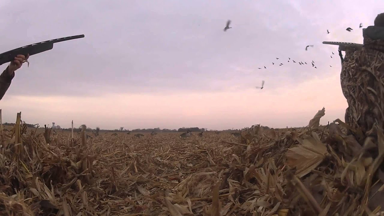 2014 Nebraska Goose Hunt YouTube