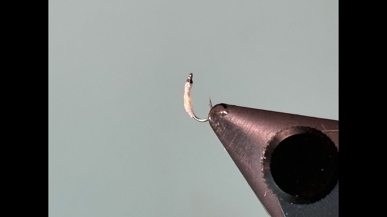 Fly Tying a Black Fly Larva