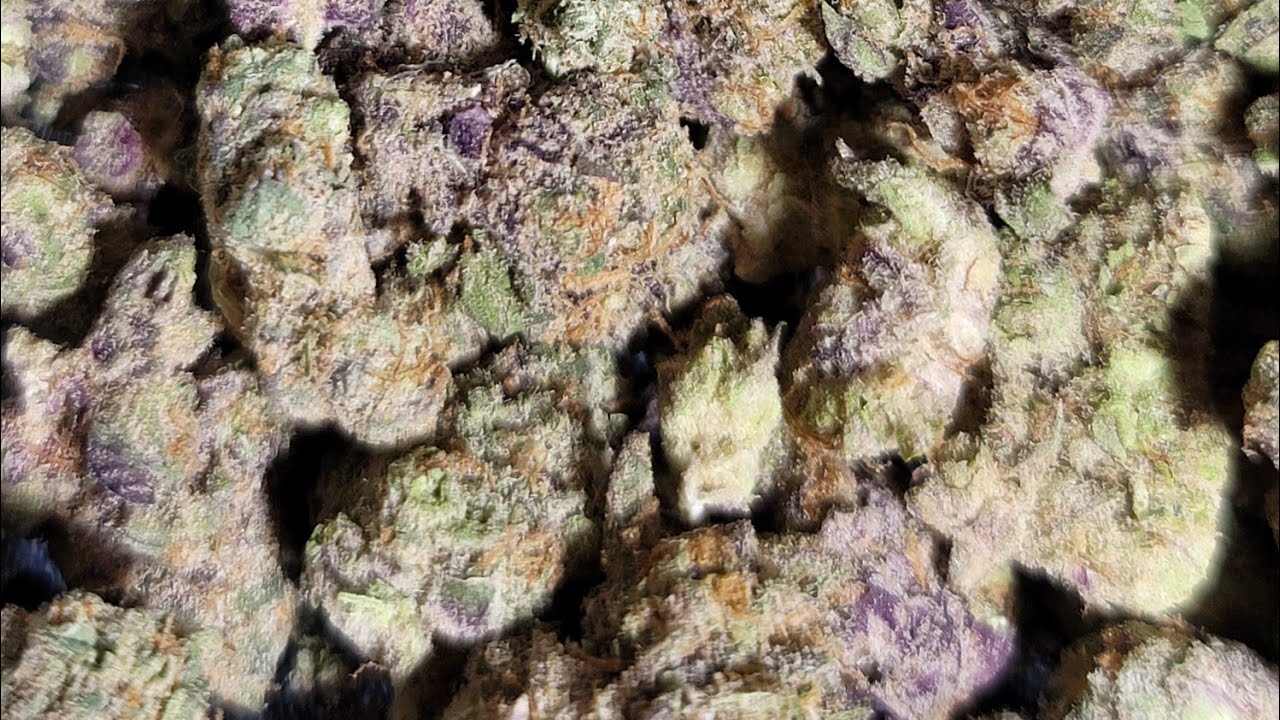 Gelato 33 - Quick Strain Review