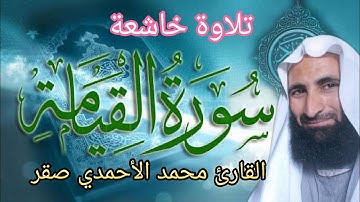 سورة القيامة بصوت القارئ الشيخ محمد الأحمدي صقر