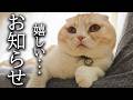 みなさまに嬉しいお知らせが...