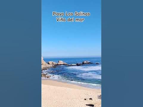 Playa las Salinas Viña del mar #airelibre #chile #valparaiso #playa # ...