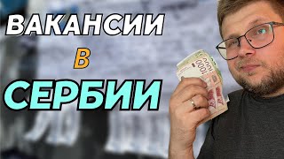 Работа в Сербии для россиян в 2024 году. Обзор вакансий не в IT screenshot 2