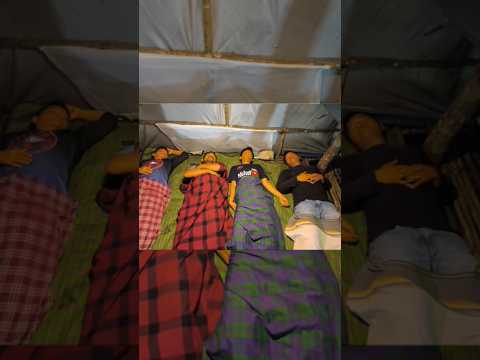 Diguyur hujan deras semalam bermalam di cabin pohon, relaxing rain sound tidur nyenyak sampai pagi