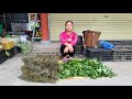 The process of making brooms & Harvesting green vegetables Bringing to the market to sell - Đặng Lưu