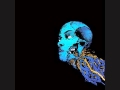Capsule - Ten