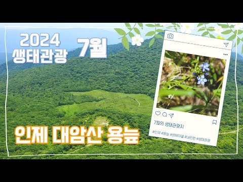 하늘이 내려준 천혜의 자연환경💚ㅣ이달의 생태관광지- <strong>인제</strong> #대암산 #용늪