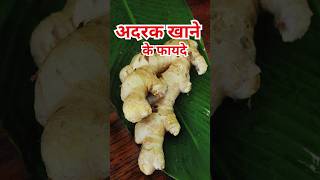 अदरक खन क फयदAdrak Khane Ke Fayde