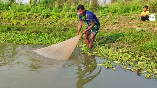 Beautiful Fishing Catching Fish By Using Cast Net Rural Fishing Bd (Part - 40)