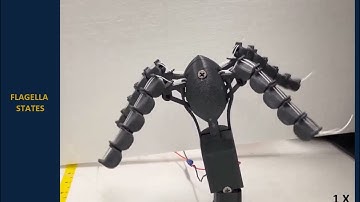 IEEE_RAL_FlagellaRobot2024