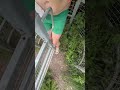 Shitgate 62 - yeeha #running #crohnsdisease #loveyourself #stoma #onelife #ibd