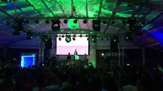Levelz - The Prototypes @ Dub Elements & Friends 2017