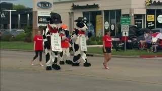 2016 pasadena Livestock Show and Rodeo Parade