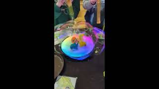 Baby Shark, Daddy Shark, Dino & Nemo in a Bubble! It’s a bubble party with our favorite friends!