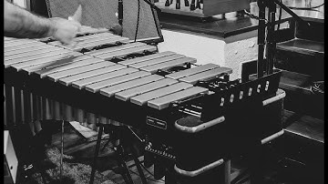 Muletone Audio - Vibraphone - Walkthrough