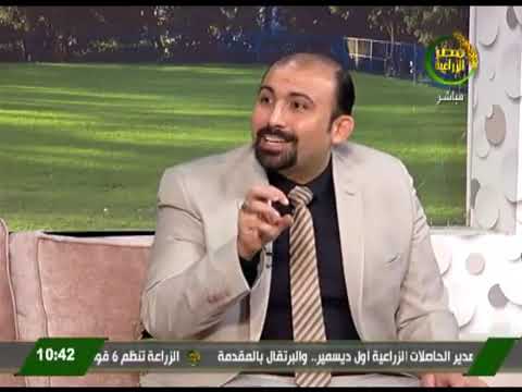 دكتور احمد محسن كيف تعالج جرثومة المعدة الحلزونية بالأعشاب الطبيعية