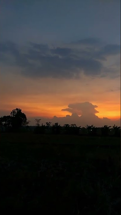 Story WA Senja | Natalie Taylor - Love is The Answer