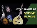 ¡¿ESTO ES UNA MANDOLINA?! | Bouzouki Irlandés | En Mandolina