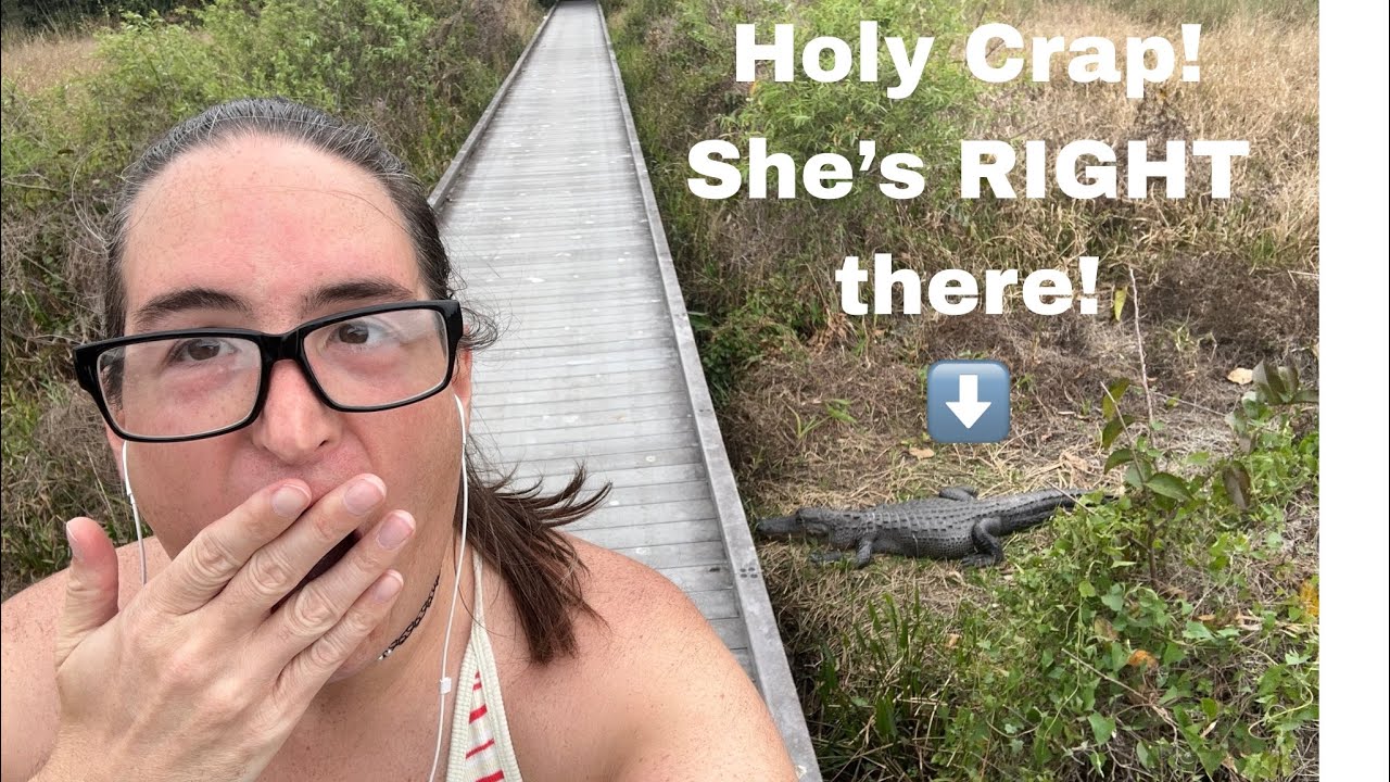 Walk with me at the SWA Everglades, Dragonfly, and Butterfly trails and check in on mama gator