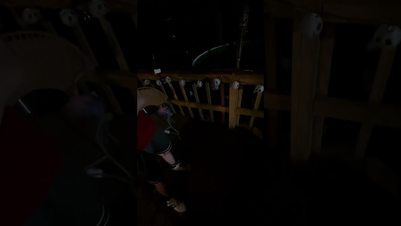 Runtz in a Blunt 🔥🌳