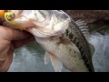 Fish4fun bass fishing familiar  waters