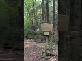 Hiking Mt Parker in New Hampshire #hiking #hikingadventures #travel #views  #wmnf #mountains