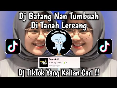 DJ MINANG BATANG NAN TUMBUAH DI TANAH LEREANG - DJ PANEK DI AWAK KAYO DI URANG VIRAL TIKTOK 2024 !!