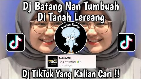 DJ MINANG BATANG NAN TUMBUAH DI TANAH LEREANG - DJ PANEK DI AWAK KAYO DI URANG VIRAL TIKTOK 2024 !!