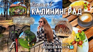 картинка: Дорога в Калининград: приключения продолжаются🗺️