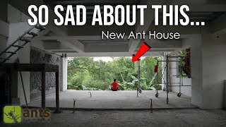 Problems Building Our New Ant House (Sad News)