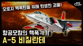 미국의 핵폭격기 "A-5 비질란테" / 오로지 핵을 위해 탄생한 괴물! [지식스토리]