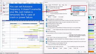 Program Options Tools Tab - Milestones Professional