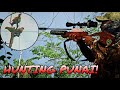 Jackpot sa dawlang spot  pest control  punai hunting  x4 raf hunter ep81  fyp trending