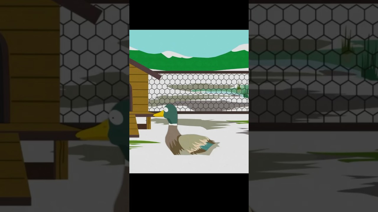 That Don’t Look Like a Dancing Duck to Me 