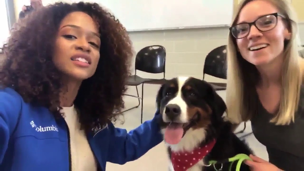 Dogs seized in Sheboygan County hoarding case up for adoption YouTube