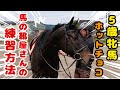 【お久しぶりです】５歳牝馬・引退競走馬の練習方法！