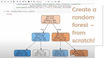 Lesson 6: Practical Deep Learning for Coders 2022