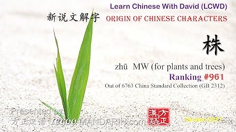 Origin of Chinese Characters - 961 株 zhū MW (for plants and trees) - Learn Chinese with Flash Cards