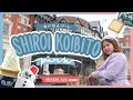⛄️Hokkaido`s famous SHIROI KOIBITO PARK✨ | Chocolate Factory🍫 | Sapporo, Japan 🇯🇵