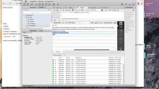 CSY2028 - Web Assignment 2 Demo (14414382)