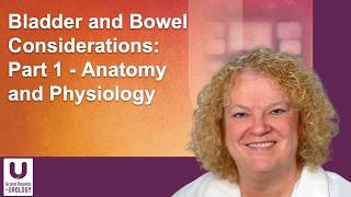 Treatment of Bladder and Bowel Disorders: Anatomy and Physiology Explained | Part 1