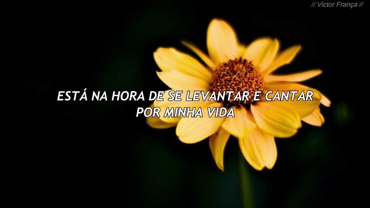 Sia - Original (Tradução PT-BR)