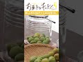 今年も梅酒を作ってみた‼How To Make “japanese ume fruit liqueur”#shorts