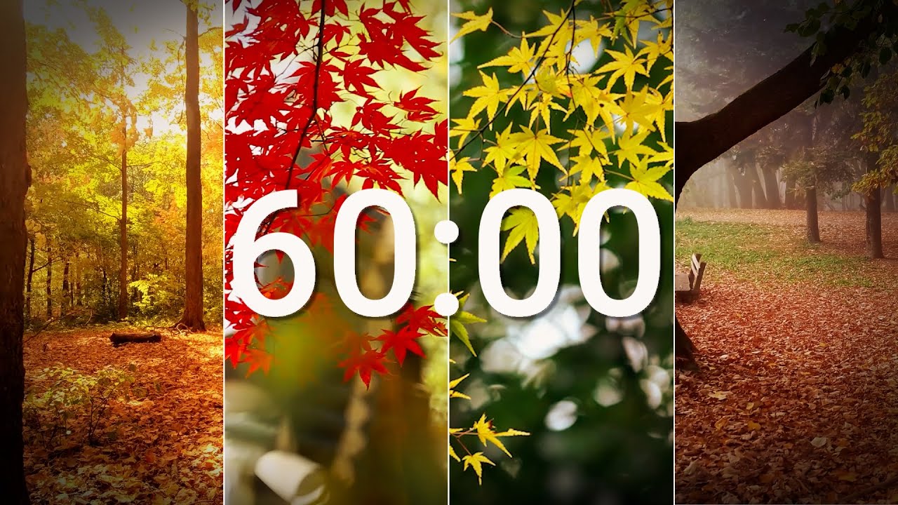 Fall Autumn with Relaxing Music - 60 minutes countdown timer - YouTube