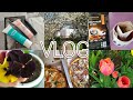 VLOG/ Первое впечатление о продукции Batel/ Посадила цветы
