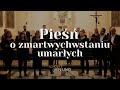 Pie o zmartwychwstaniu umarych  schola ventuno