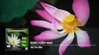 Bố Thí Đầu-Adj 